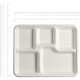 thumbnail image 3 of GUSTO 10 Inch 100% Compostable 5-Compartment White Meal Trays, Heavy Duty Disposable Dinnerware, 125 Count, 3 of 9