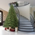 thumbnail image 5 of Vickerman 12' Oregon Fir Artificial Christmas Tree, Unlit, 5 of 5
