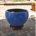 thumbnail image 3 of Devault Plant Dolly Black - 16in Diam / Supports up to 500lbs, 3 of 3