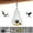C1_3.9x9in Clear, variant on ERTZAE Clear Acrylic Window Bird Feeders,Wild Bird House,Easy Clean Birdhouse,Strong Suction Cups,Bird Feeder with Camera 4.92x5.11x2.95in,720P Night Vision WiFi Bird Watching,Outdoor Hanging Feeder