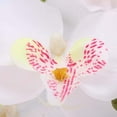thumbnail image 3 of Artificial White Phalaenopsis Orchid Flower Arrangement in Sallow white Vase. Made with Lifelike silk and real looking Plastic Stems. Makes a great Decoration for Home, Office, or Wedding. (2 Pack), 3 of 4