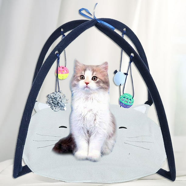 Funny Cat Tent Toys - Sleeping Interactive Activity Center Station, with  Hanging 