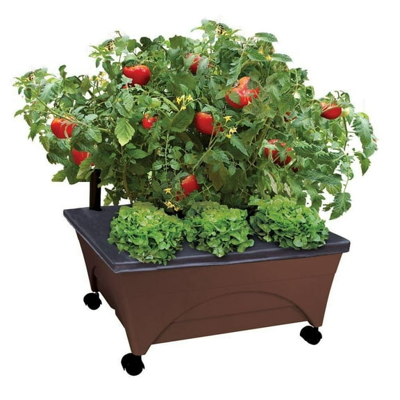 City Picker Raised Bed Grow Box – Self Watering and Improved Aeration – Mobile Unit with Casters - Brown