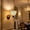B#13092, variant on Vintage Style Wall Lamp, 26x25x15 cm Iron and Glass Wall Sconce with LED Light, 12W Warm Ambient Lighting for Bedroom, Coffee Shop, Hallway, Balcony, Bedside Use