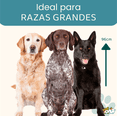 thumbnail image 3 of Casa para Perro Grande MascoAmigo con Puerta Metálica Térmica 99x82x96 cm Azul, 3 of 9