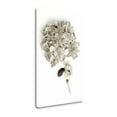 thumbnail image 2 of "Garden Bloom - 10" By Alan Blaustein, Fine Art Giclee Print on Gallery Wrap Canvas, Ready to Hang, 2 of 2