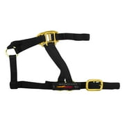 Heartland: Medium Halter Horse Gear, 1 Ct