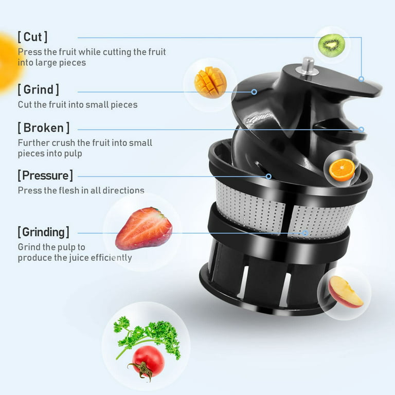DEWINNER Slow Masticating Mini Juicer Extractor Easy to Clean, Cold Press  Juicer Machine with quiet motor for High Nutrient Fruit & Vegetable Juice