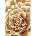 thumbnail image 2 of Corinthian 5338 Ivory Floral Splendor 2'2" x 7'11" Runner Size Area Rug, 2 of 4