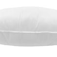 thumbnail image 4 of 22" X 22" White Polyester Blown Seam Pillow Insert, 4 of 4