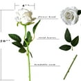 thumbnail image 4 of Ukeler Artificial White Rose Flowers 12 Pcs Blossom Rose Flowers Real Touch Silk Faux Roses with Stem Rose Bouquets for Home Decoration Wedding Party Garden Floral Roses Decor, 4 of 7