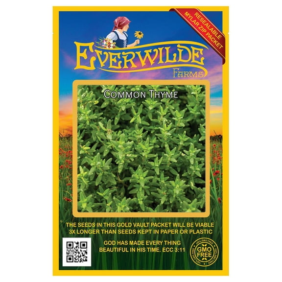 Everwilde Farms - 1000 Common Thyme Herb Seeds - Gold Vault Seed Packet