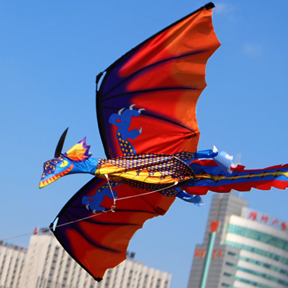 FOReverweihuajz Cerf-Volant coloré 3D Dragon Volant avec Queue de 100 m pour Enfants
