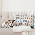 thumbnail image 4 of Ambesonne Alphabet Throw Pillow Cover 2 Pack, Cartoon Animals, 24", Multicolor, 4 of 7