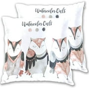 Wellsay Watercolor Funny Owl Velvet Plush Throw Pillow Cushion Case Cover - 16x16in - Invisible Zipper Home Decor Floral for Couch Sofa,2 Pack