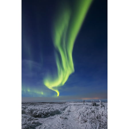 The aurora borealis shines above an ATV trail covered in snow south of Delta Junction Alaska United States of America Poster Print by Steven Miley  Design