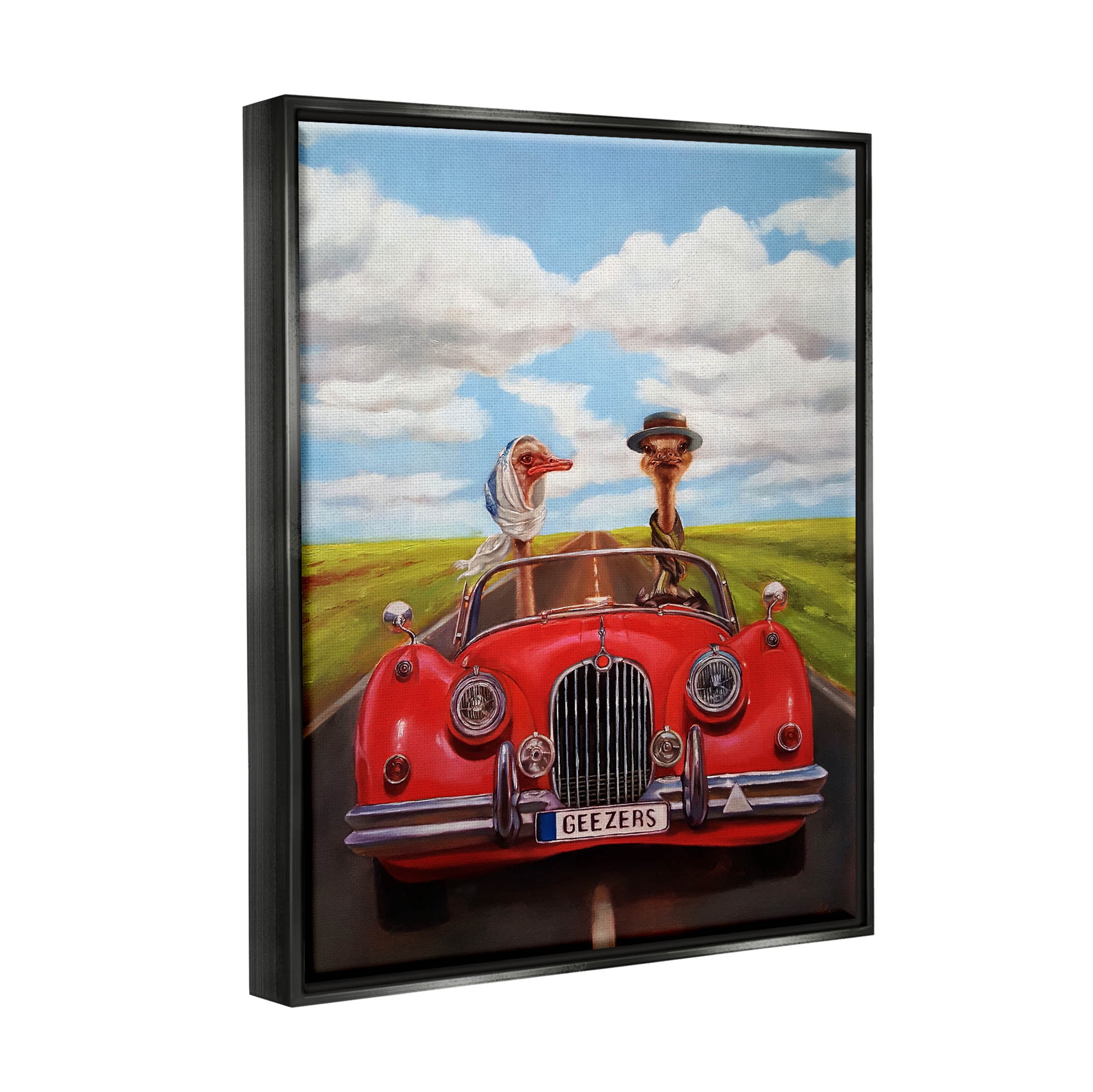 Stupell Industries Ostrich Couple Geezers Convertible Painting Jet Black Floating Framed Canvas Print Wall Art, Design by Lucia Heffernan
