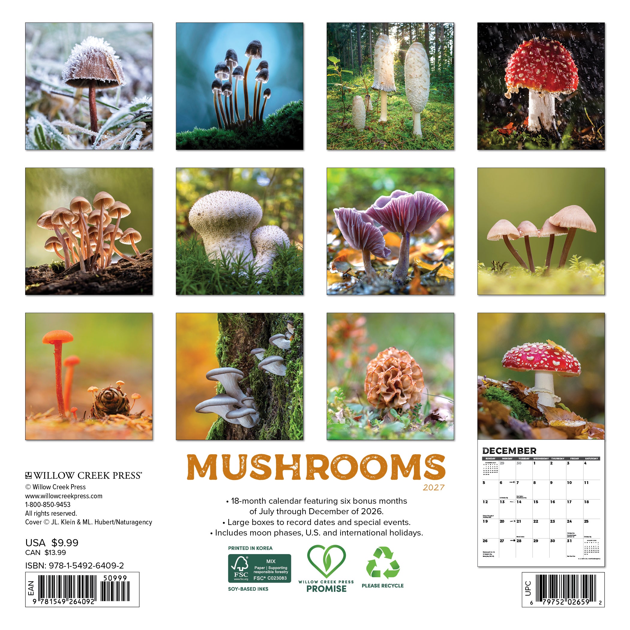 Willow Creek Press, Mushrooms 2027 Mini Wall Calendar