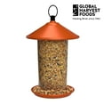 Economy Mix Wild Bird Feed, Value Bird Seed Blend, Dry, 20 lb. Bag
