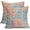 Blue Orange Dots, variant on Blue Orange Pillow Covers 16x16 Set of 2 Boho Design Gray Dot Throw Pillows Modern Trendy Fall Print Decorative Outdoor Pillowcase Holiday Cushion Cover Linen Case Decor for Sofa Couch Bed
