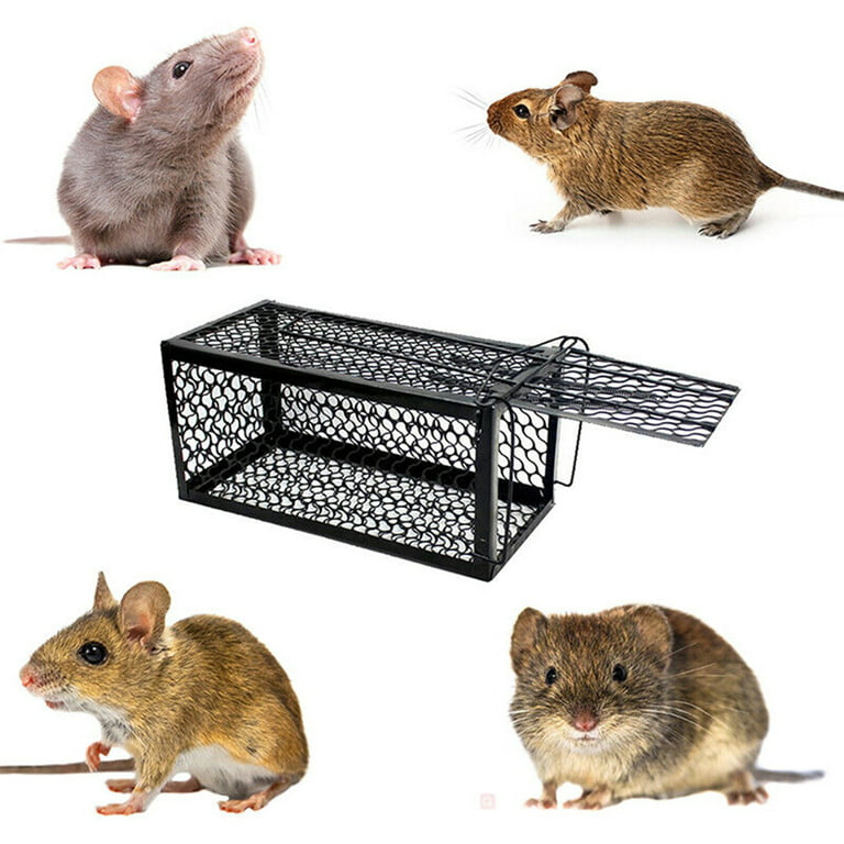 SZHLUX Rat Trap,Mouse Traps Work for Indoor and Outdoor,Small Rodent Animal- Mice Voles Hamsters Cage,Catch and Release(Medium), Silver (SZ-SL3616D) -  Yahoo Shopping