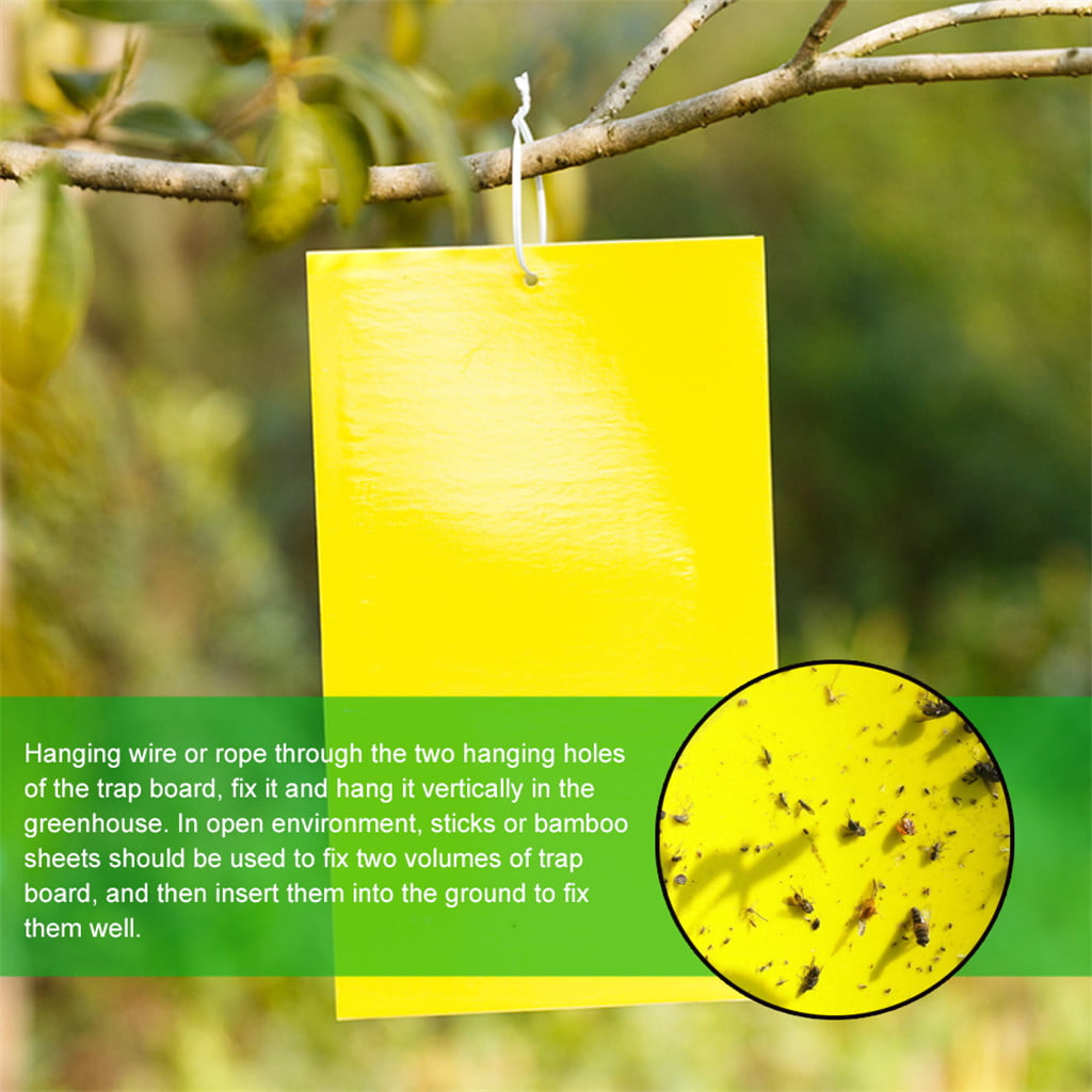 Leaf Miners（6 design） Whiteflies 36 Pcs Yellow Sticky Fly Traps Dual-Sided Fly Catcher Plastic Bug Insect Gnat Traps Disposable Sticky Board for Mosquitos Fungus Gnats Flying Aphid