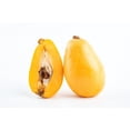 thumbnail image 3 of Loquat Fruit Tree Seeds for Planting, 3 Seeds Per Packet Non GMO & Heirloom Seeds, Botanical Name Eriobotrya Japonica, Great Gift, 3 of 8