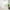 Frosted, variant on FOINWER Window Privacy Film Frosted Film 24x78 inches No Glue Anti-UV Window Sticker White Frosted Window Cling Non-Adhesive for Privacy Office Home, Bathroom