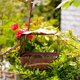 thumbnail image 4 of Window Bird Feeder, Metal Bird Feeder with Outdoors Hanging Chain, Bird Feeders for Outside Wild Birds, 4 of 5