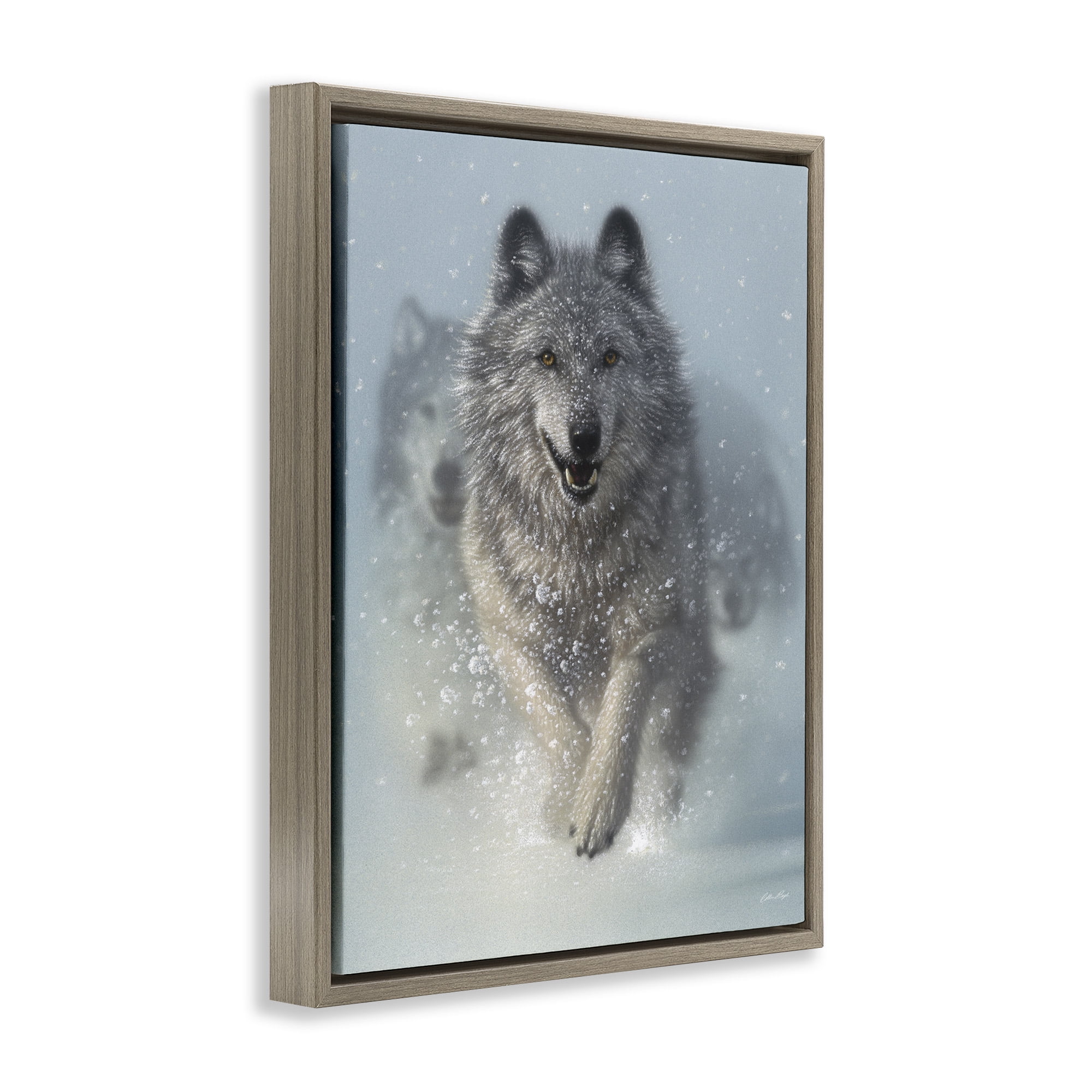 Stupell Industries Wolves Running Through Snow Animals & Insects Photography Brown Floater Framed Canvas Art Print Wall Art, 17 x 21