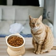 thumbnail image 3 of Elevated Ceramic Pet Bowl for Cats and Small Dogs Vomit Food Dish with Spinal Health Design, 3 of 6