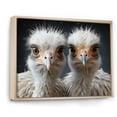 thumbnail image 2 of Designart "Graceful Shadows Of An Ostrich Couple II" Ostriches Floater Framed Wall Decor, 2 of 5