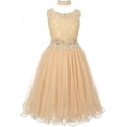 thumbnail image 4 of Big Girls' Elegant Sleeveless Lace Mesh Rhinestone See Through Pageant Flowers Girls Dress Champagne 10 (CC50C10), 4 of 5