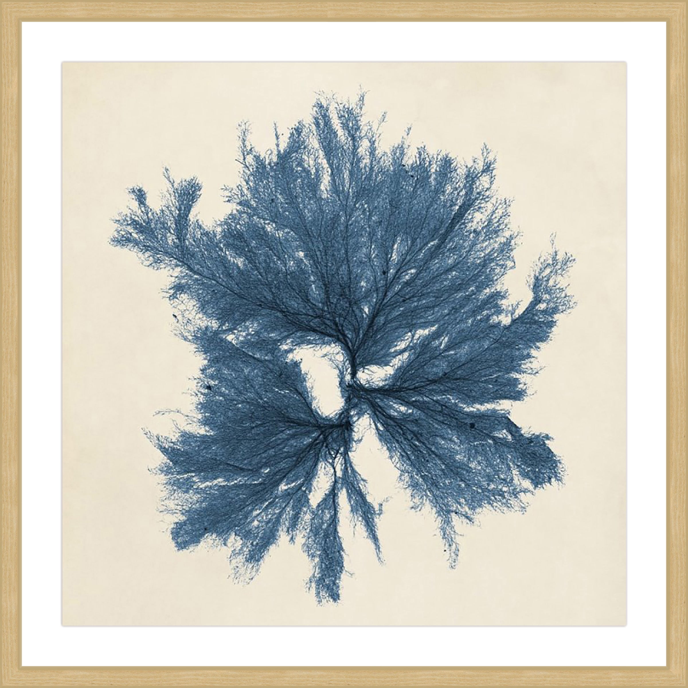 Marmont Hill "Coastal Seaweed V" Framed Painting Print