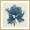thumbnail image 3 of Marmont Hill "Coastal Seaweed V" Framed Painting Print, 3 of 5