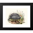 thumbnail image 2 of Joseph Smit 24x19 Black Modern Framed Museum Art Print Titled - Numida Mitrator. (1872), 2 of 5