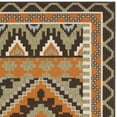 SAFAVIEH Veranda Johann Southwestern Indoor/Outdoor Area Rug, 6'7