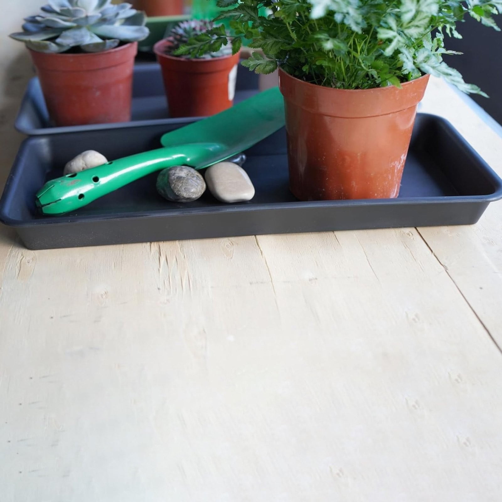 SLUOHZXI Plant Saucer Growing Tray, Seed Starter Tray Rectangular, Heavy Sturdy Plastic Plant Drainage Saucers, Plant Drip Trays for Pots, Seed Starter Growing Trays (15.7 x 6 inch, 5 Pack)