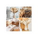 thumbnail image 2 of Plantas Decorativas 100pcs Pampas Secas Flores Artificiales, 2 of 3