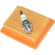 thumbnail image 1 of Kit de encendido con filtro de aire para Stihl Fs120 Fs200 Fs250 Fs300, 1 of 5