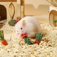 thumbnail image 4 of Varilla para la dentición de hámster de zanahoria, 3 piezas de juguete para masticar para mascotas pequeñas, juguete para masticar para hámster de zanahoria, muy versátil, 4 of 5