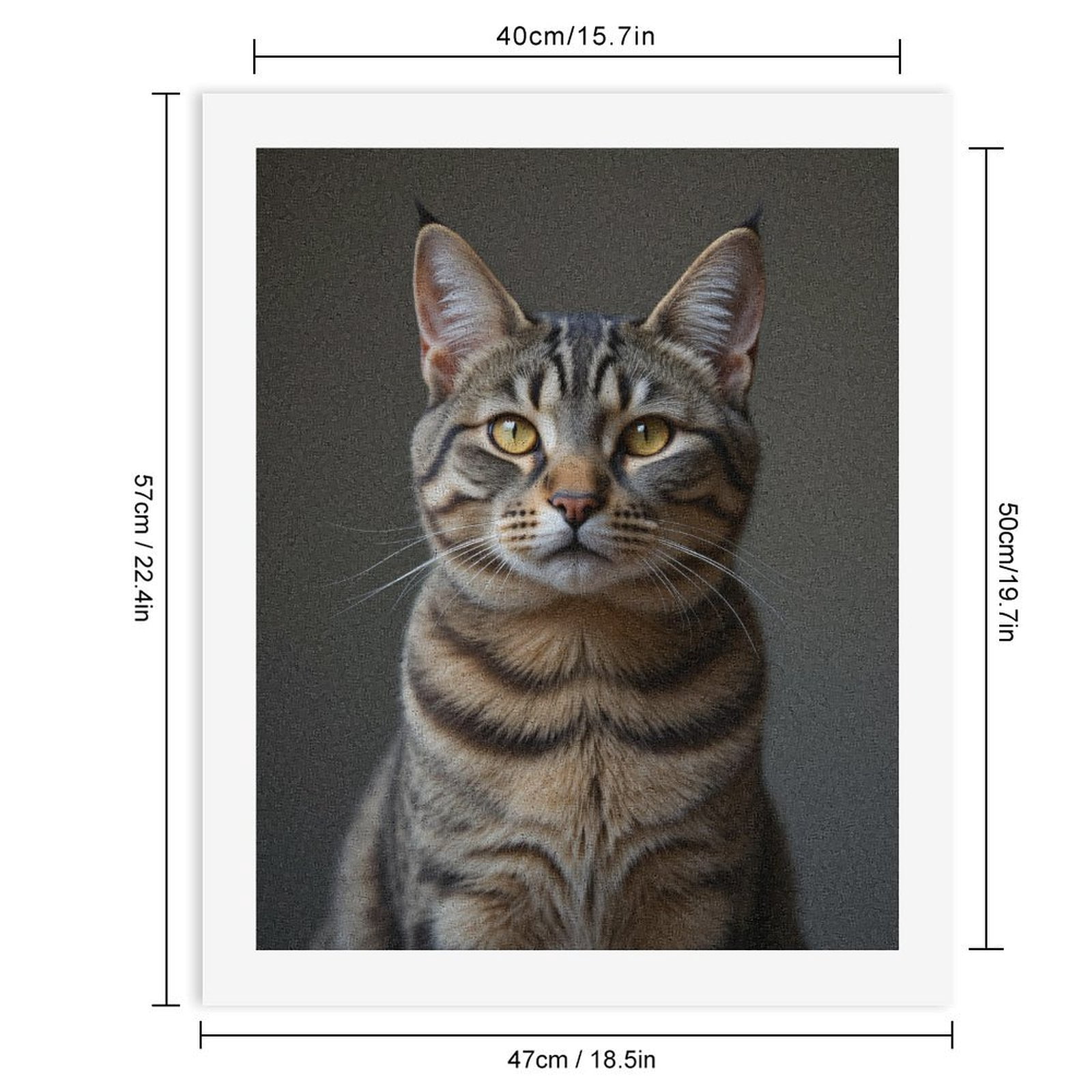 Paint by Numbers Kit for Adults, Tabby Cat Majestic Portrait Paint by Numbers, Easy Paint by Numbers Kit for Adults Beginner, DIY Adult Paint by Number Kits on Canvas, Home Decor