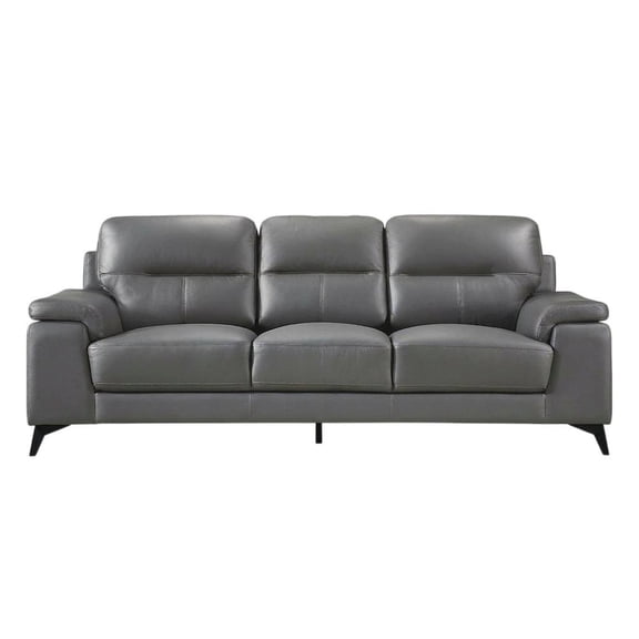 Mischa Genuine Leather Sofa and Couch for Living Room, Dark Gray