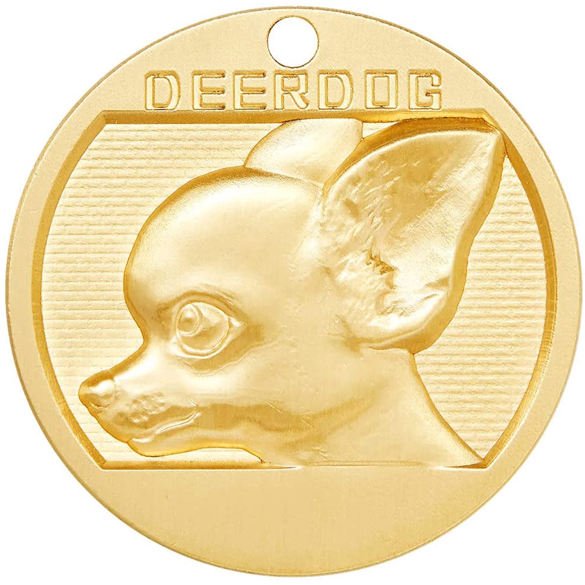 Why Do Dogs Chew On Metal