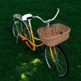 thumbnail image 2 of Cesta Delantera para Bicicleta vidaXL de Mimbre Natural con Cubierta para 7 kg, 2 of 9
