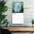 thumbnail image 5 of I Love Kittens | 2026 12x24" (Hanging) Square Wall Calendar | Plastic-Free, 5 of 9