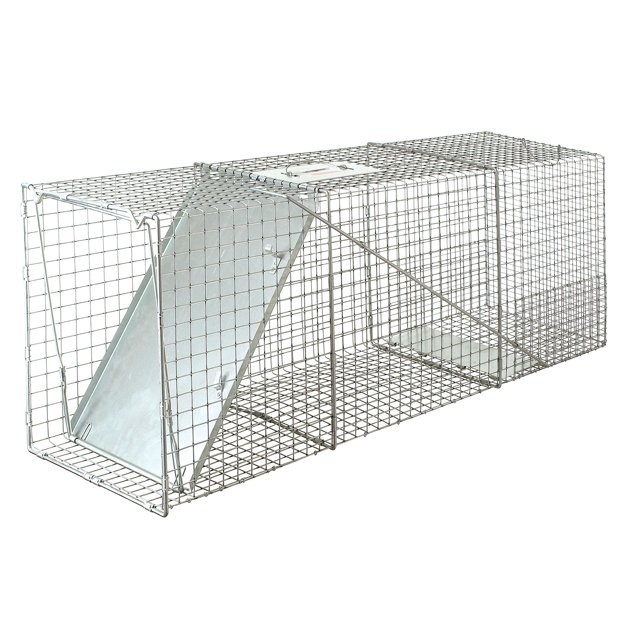 Little Giant Piège à Animaux Vivants avec Entrée à Porte Unique, 17 x 42 Pouces