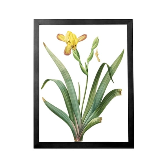 A3 Poster Frame,Paintings Frames with Plexiglass Front,Actual Fits 11 3/4x16 1/2 inch Photo,Print,Poster,A3 Certificate Frame,Portrait or Artwork,Frame 0.75"" Wide,Hanging Picture Frame (Black)