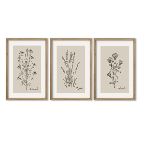UNFFRAMED Luvia Set of 3 Vintage Botanical Wall Art Poster Wildflower Minimalist Bedroom Wooden Hanging Decoration Set 3 Prints 8x12