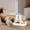 Blue, variant on Qholemyo 3.8L Smart Timed Automatic Cat Feeder Programable Dry Food Dispenser Auto Cat Water Bowl Dog Waterer Pet Food Container
